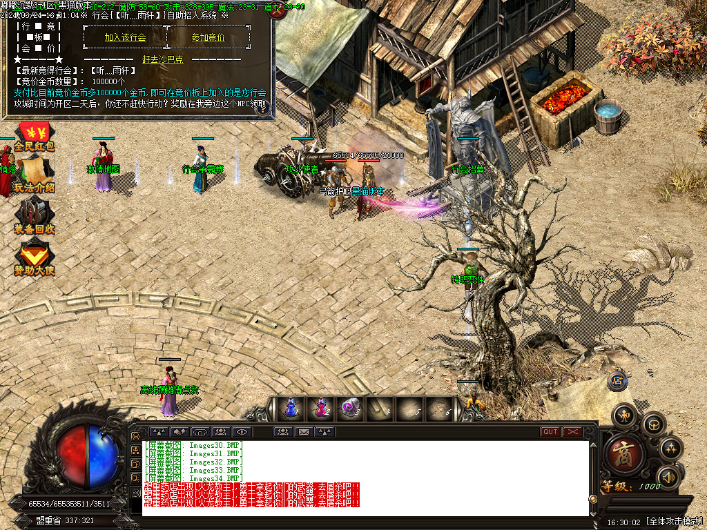 Images35.BMP