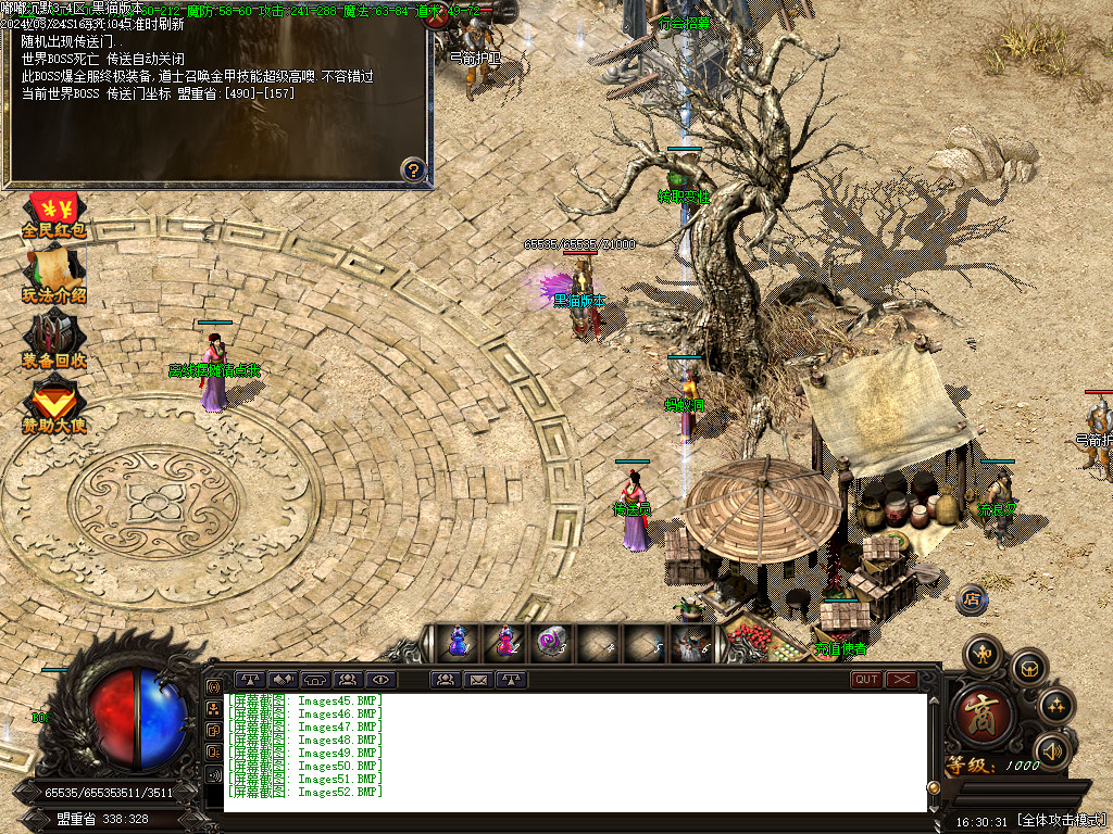 Images53.BMP