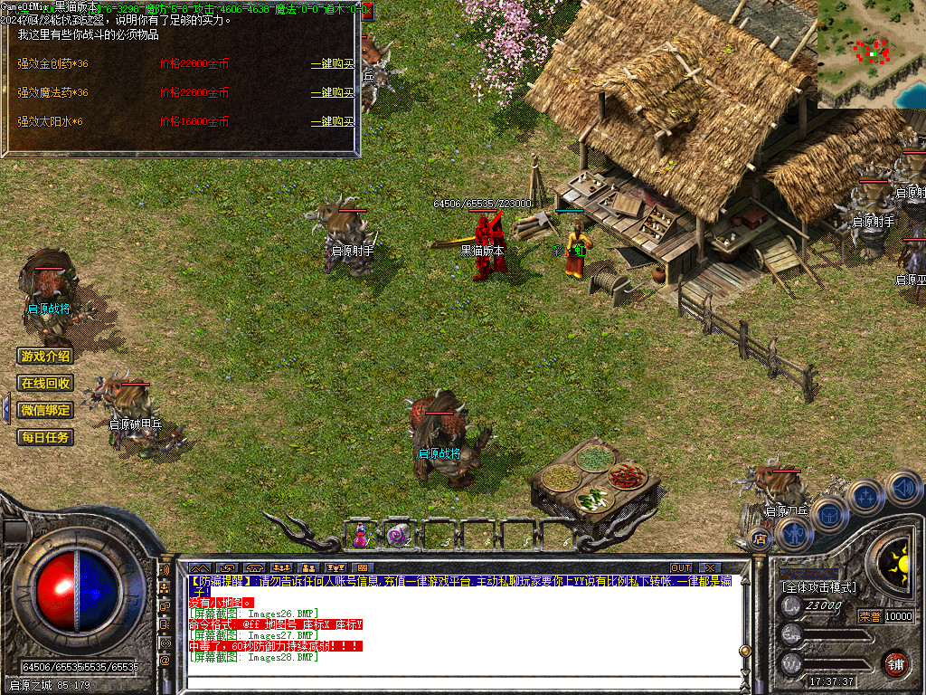 Images29.BMP