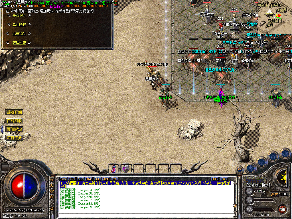 Images40.BMP