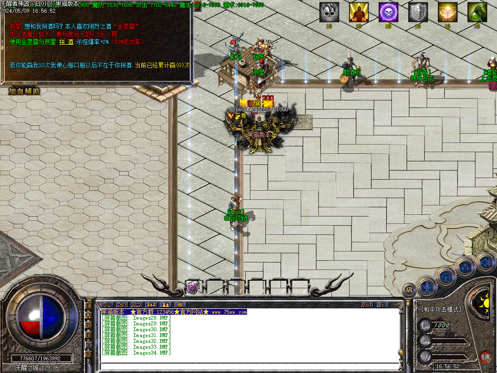 Images35.BMP