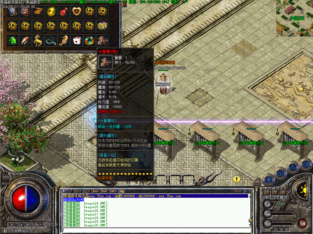 Images31.BMP