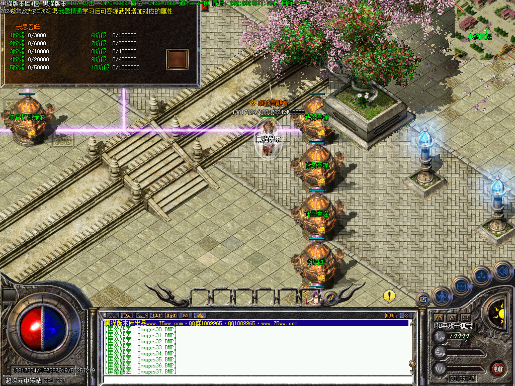 Images38.BMP