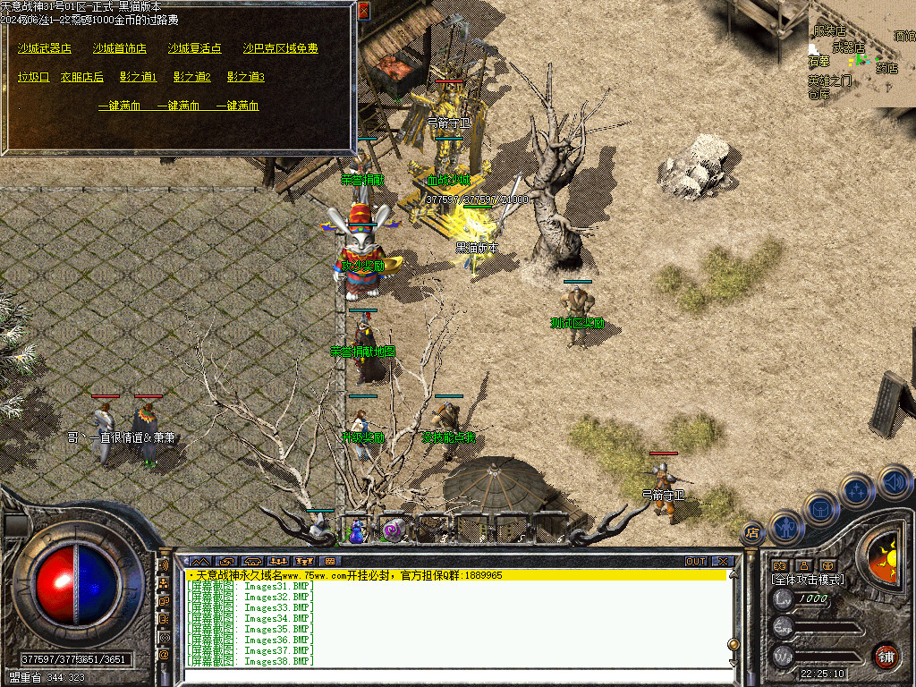 Images39.BMP