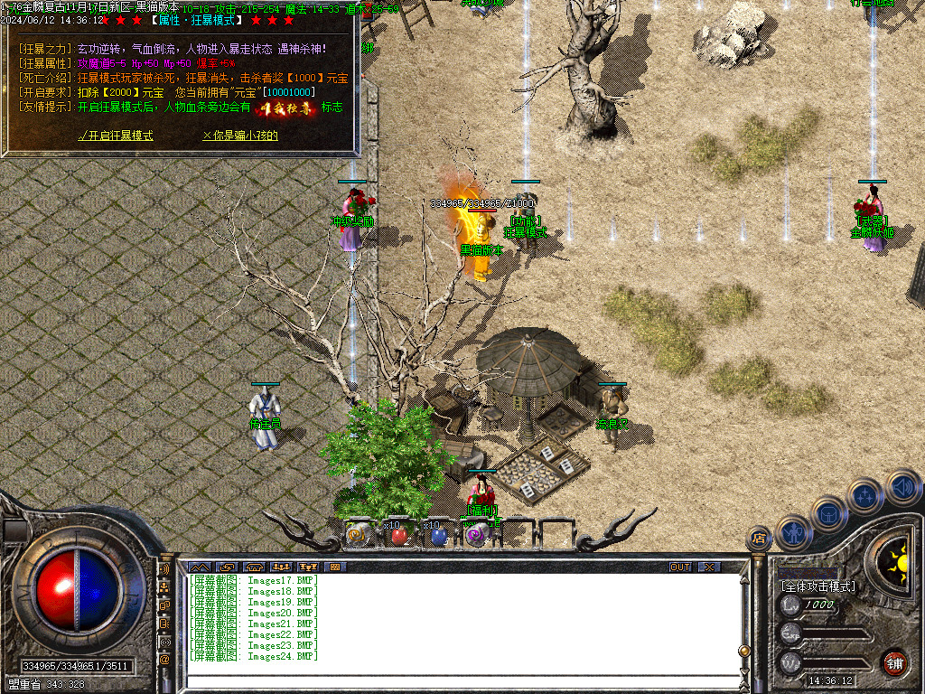 Images25.BMP