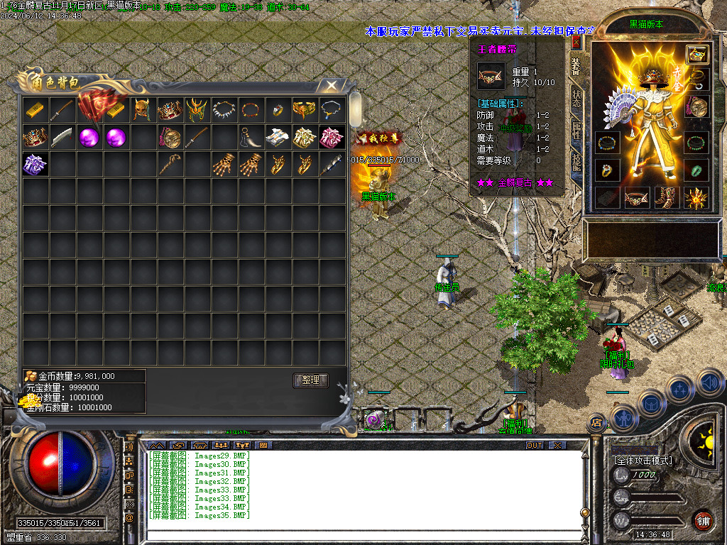 Images36.BMP