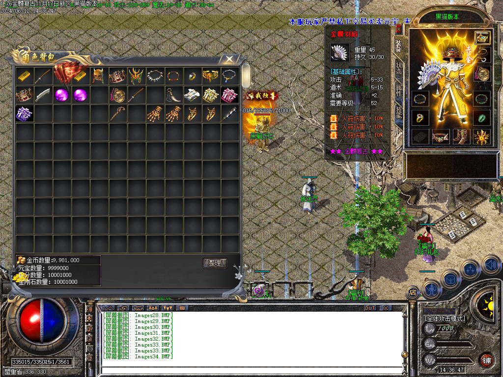 Images35.BMP