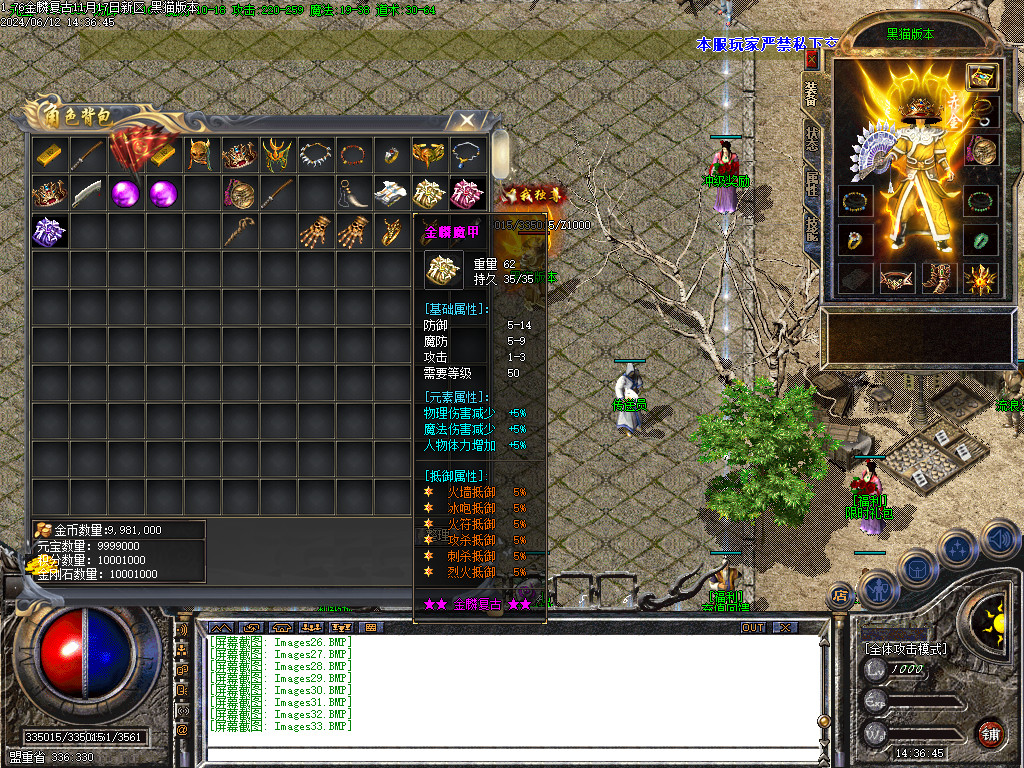 Images33.BMP