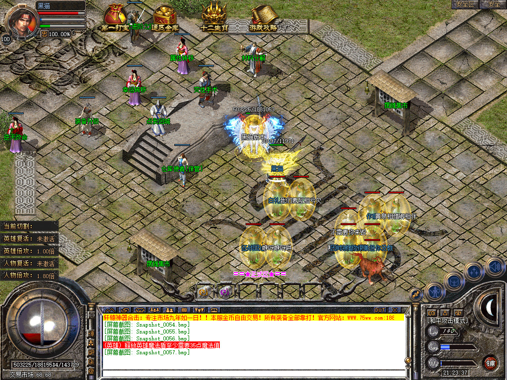 Snapshot_0058.bmp