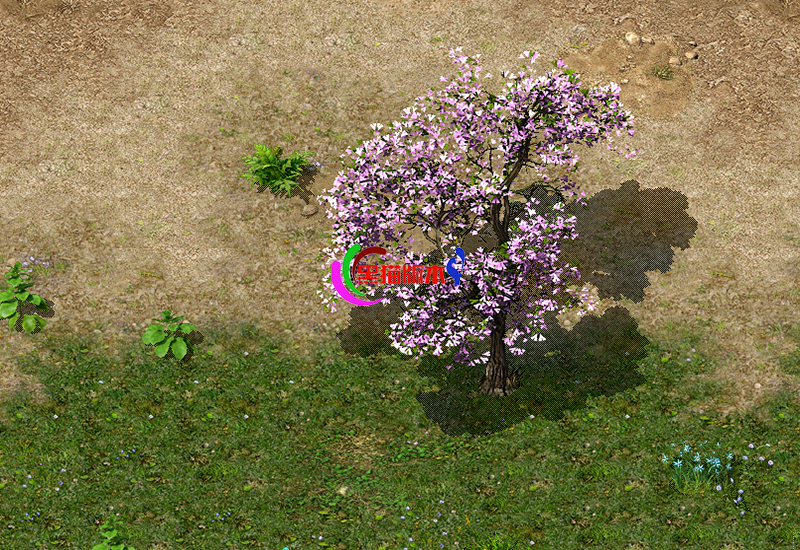 101.png