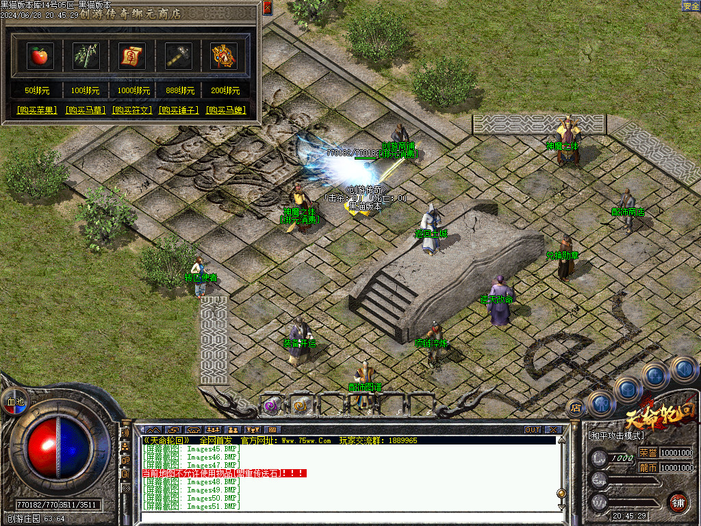 Images52.BMP