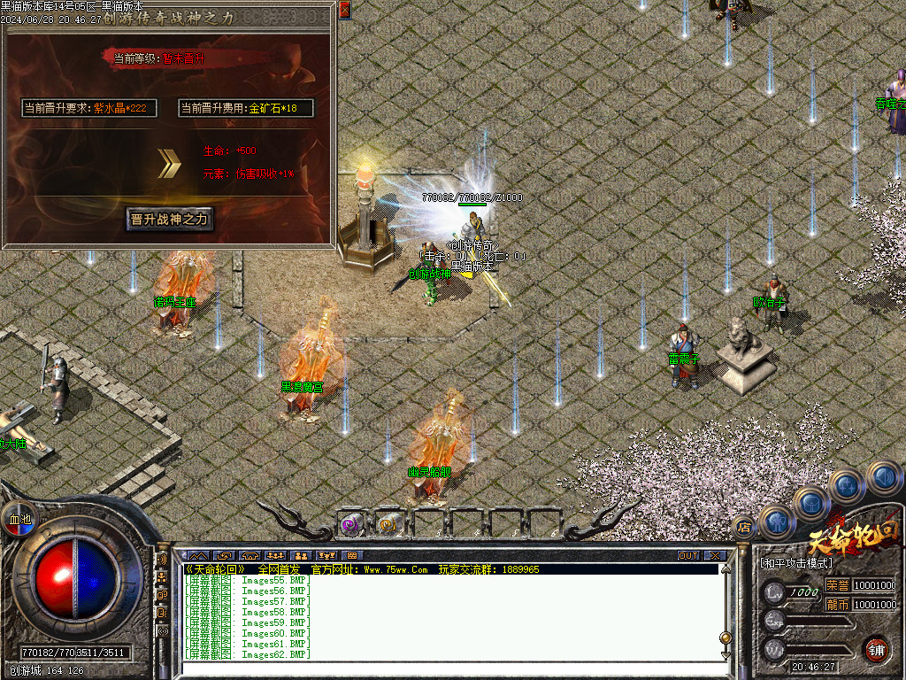 Images63.BMP