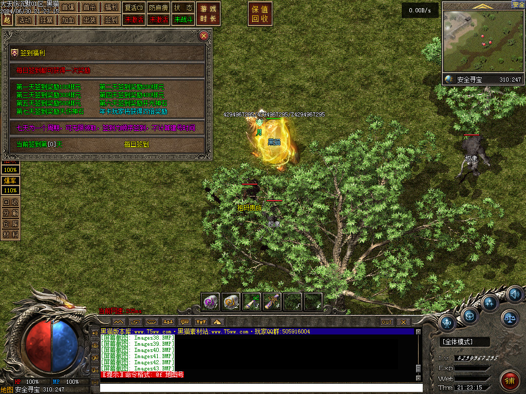 Images44.BMP
