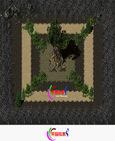 11.png