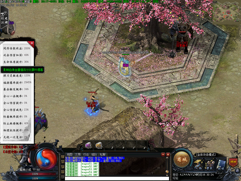 Images56.BMP