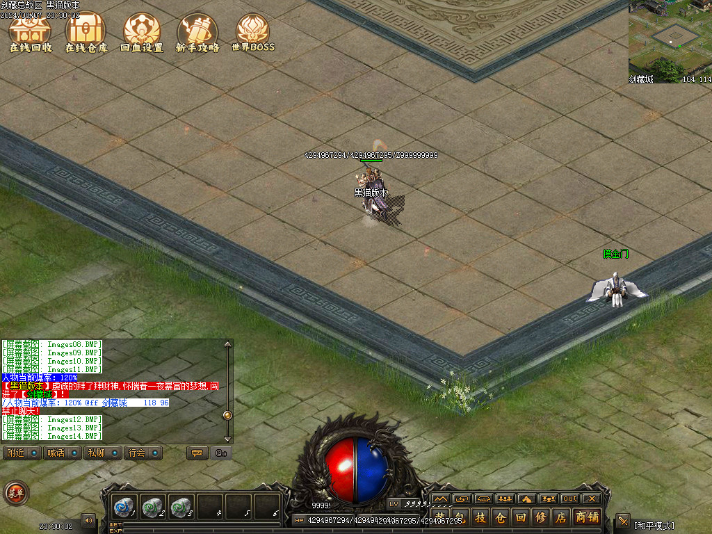 Images15.BMP