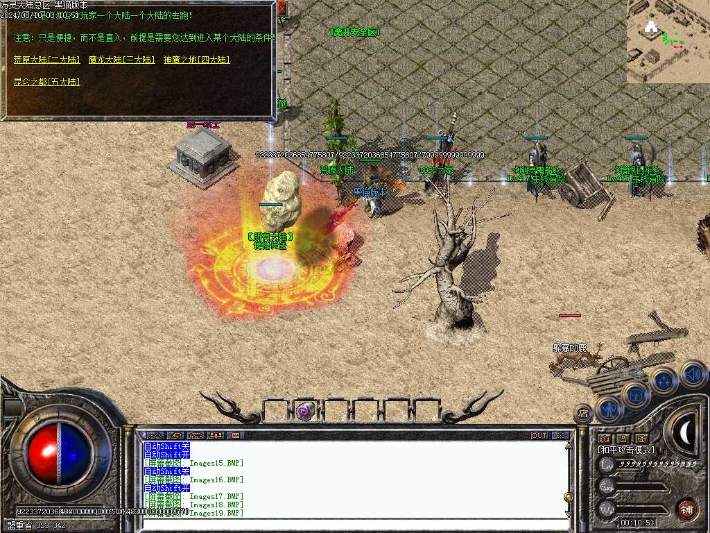 Images21.BMP