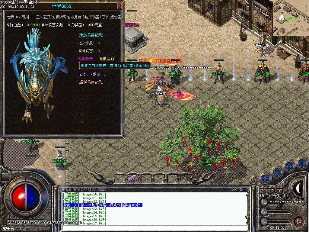 Images29.BMP