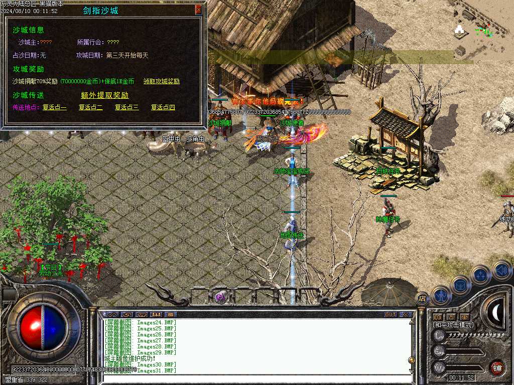 Images33.BMP