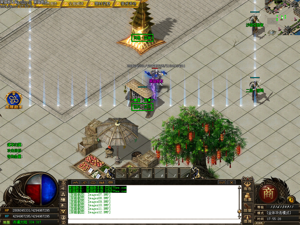 Images13.BMP
