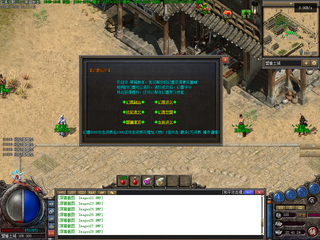 Images29.BMP