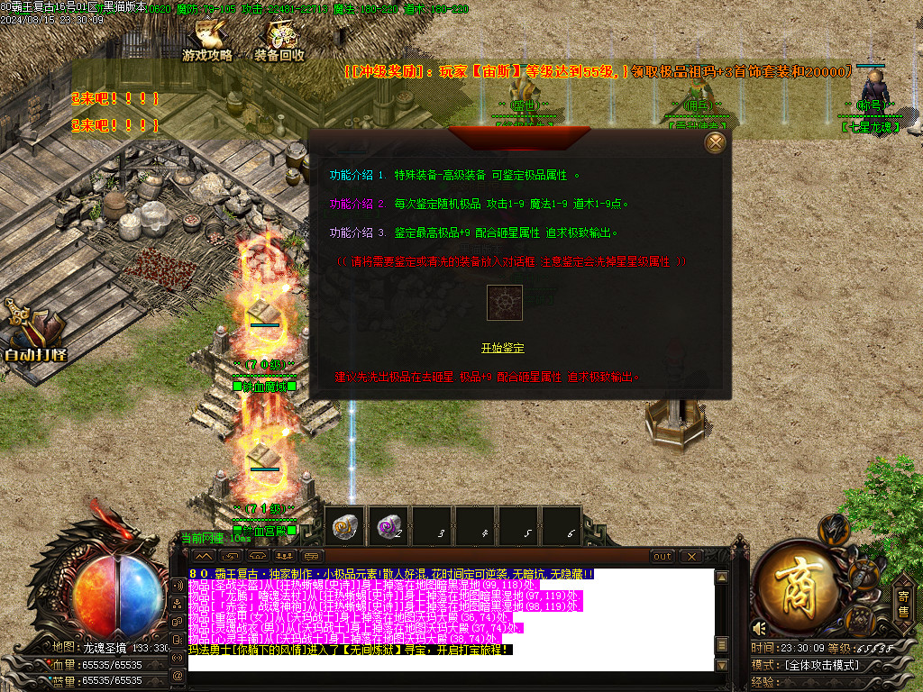 Images29.BMP