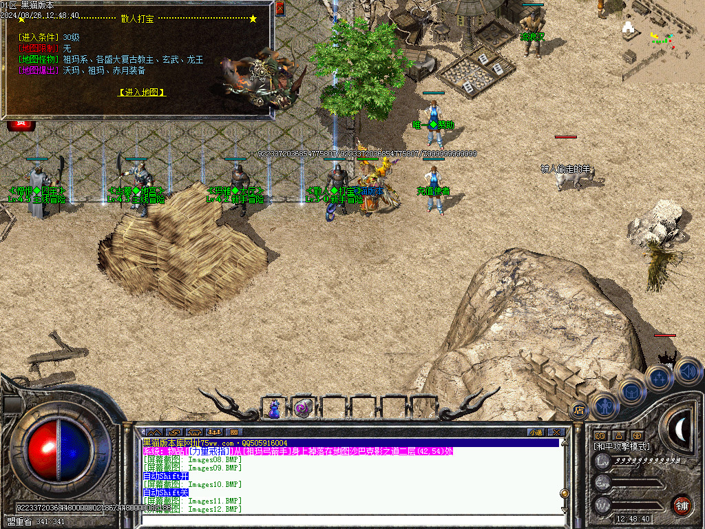 Images13.BMP