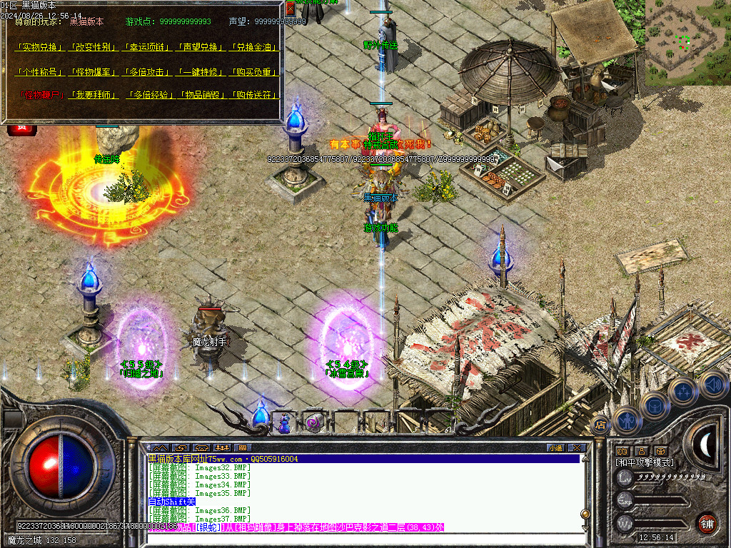 Images38.BMP