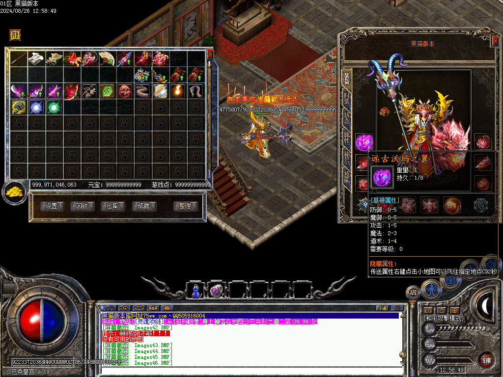 Images47.BMP