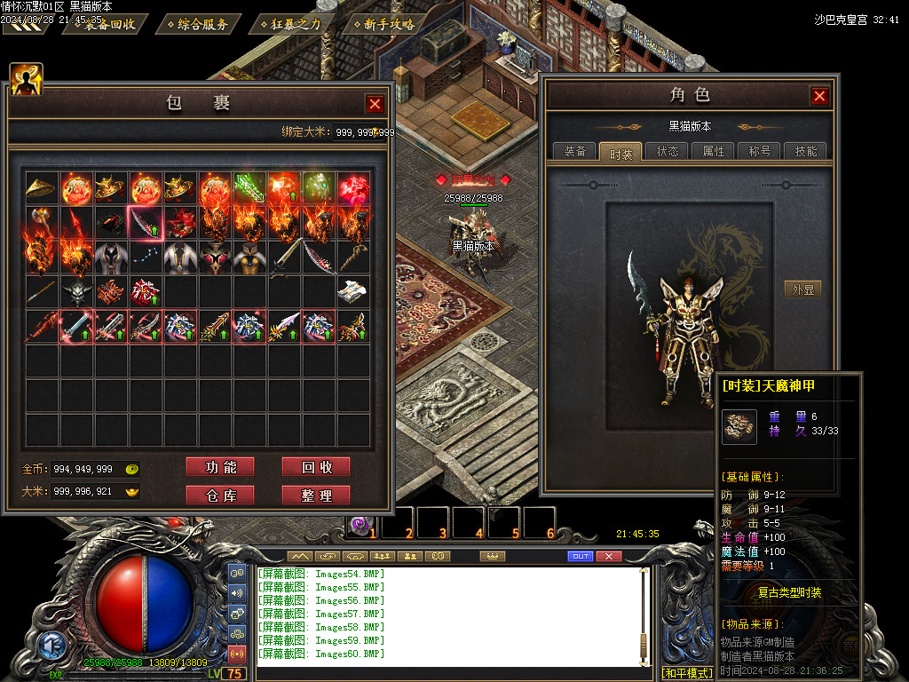 Images61.BMP