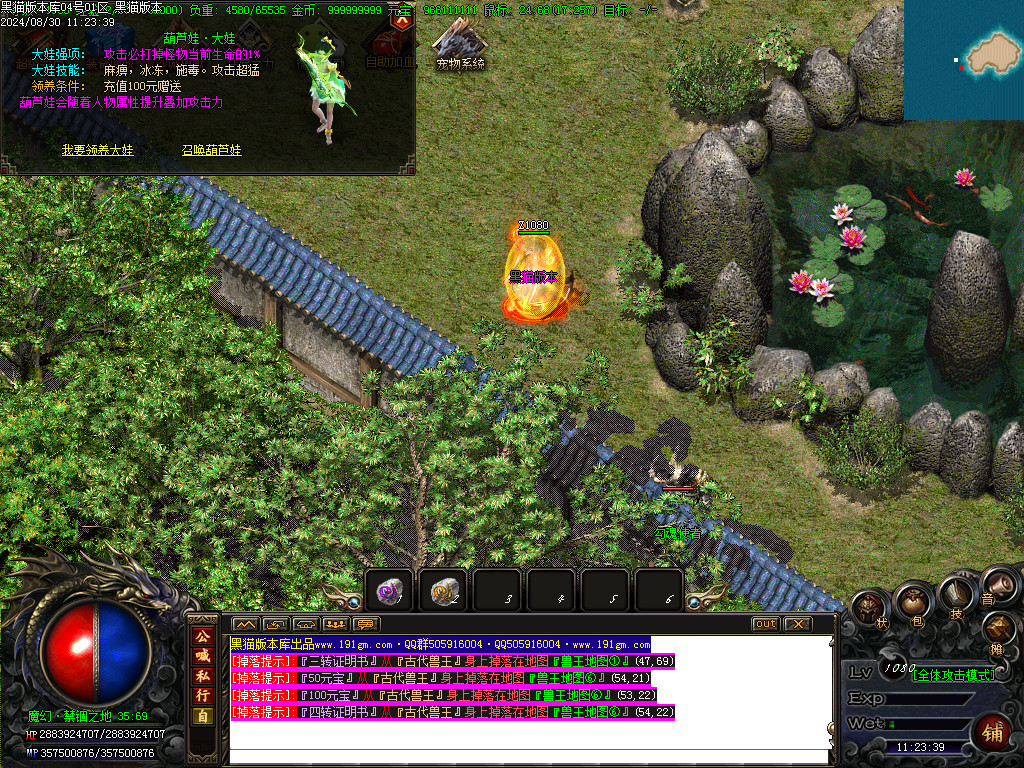 Images46.BMP