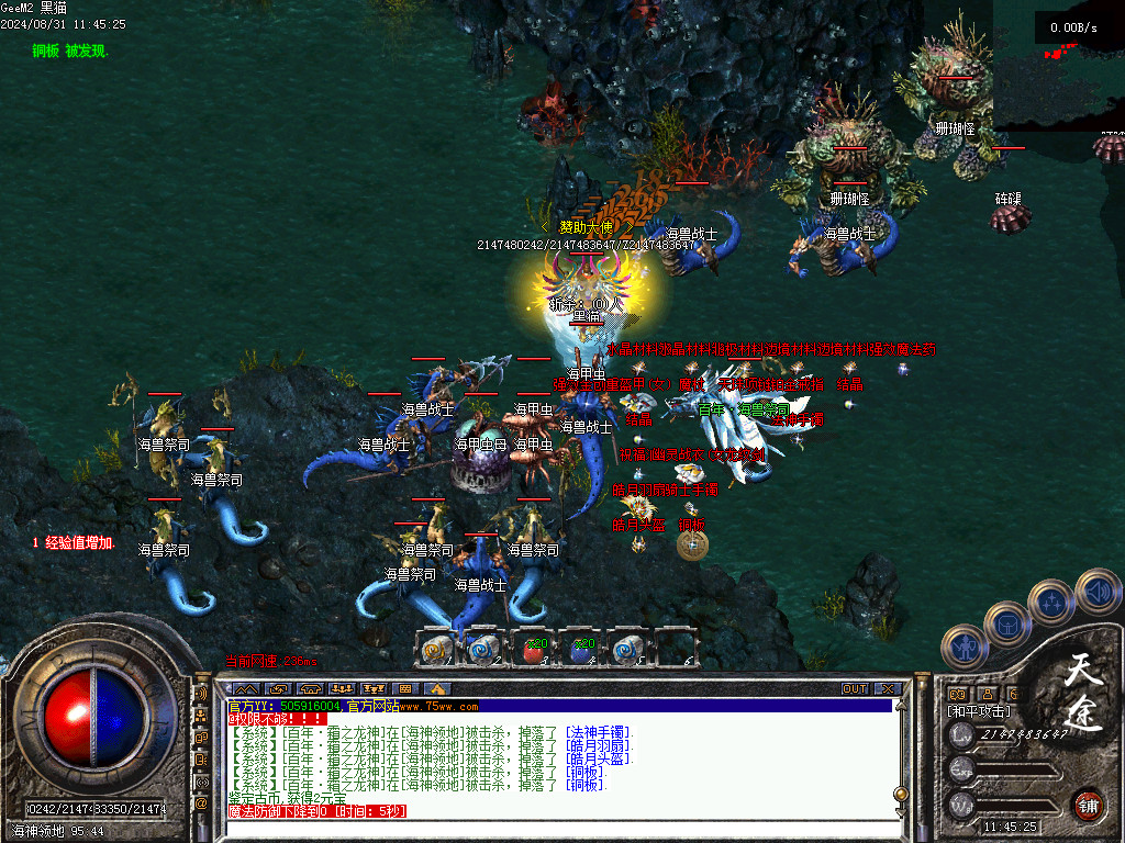 Images57.BMP