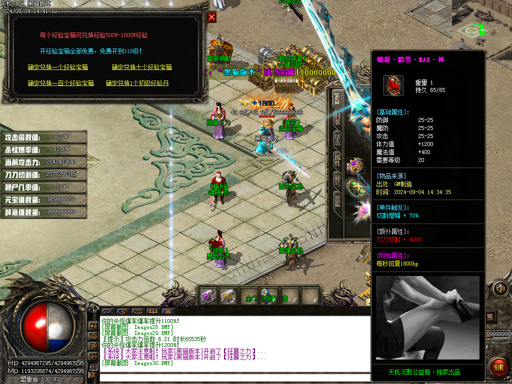 Images31.BMP