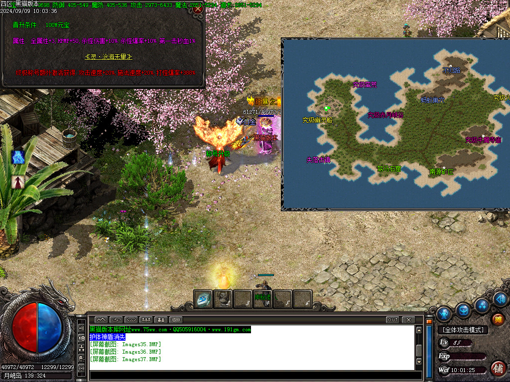 Images38.BMP