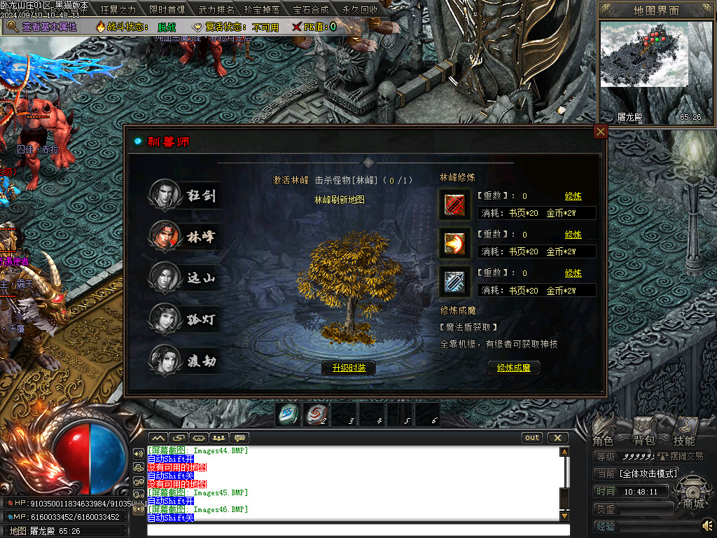 Images47.BMP