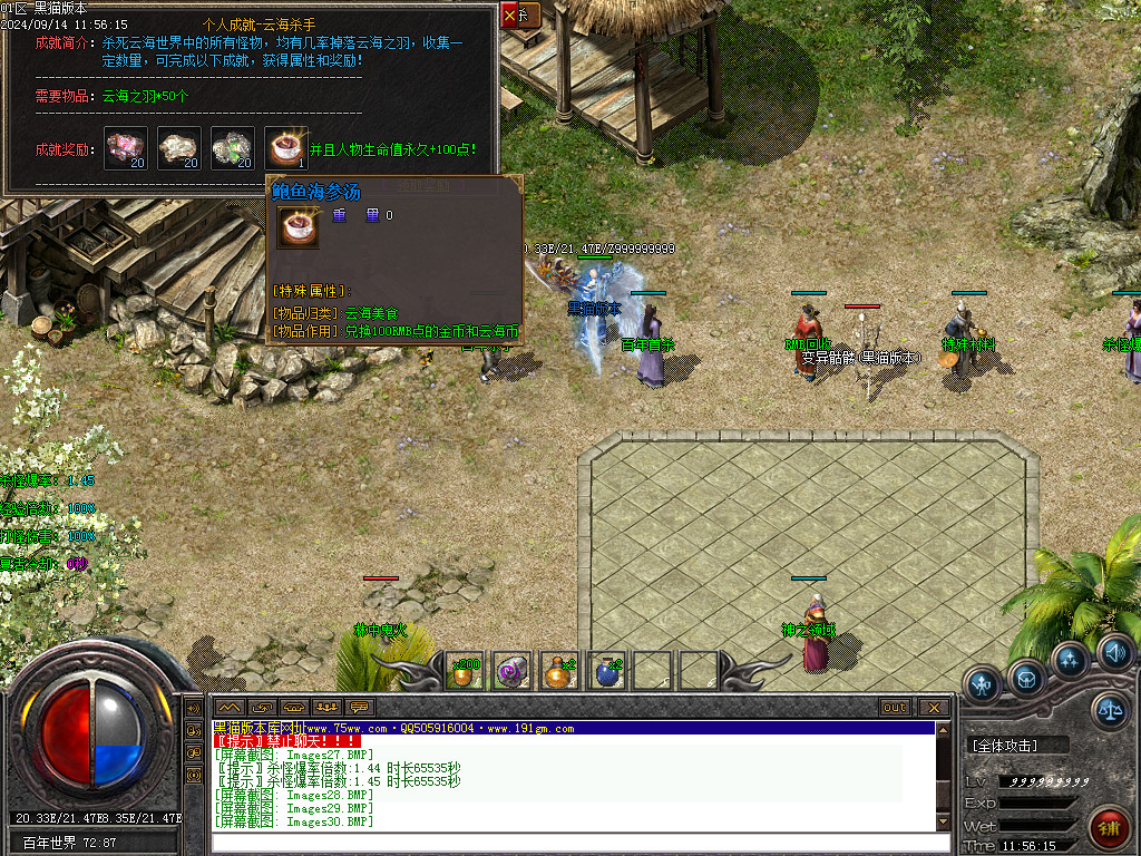 Images31.BMP