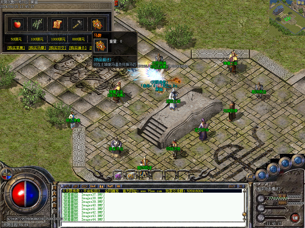 Images45.BMP