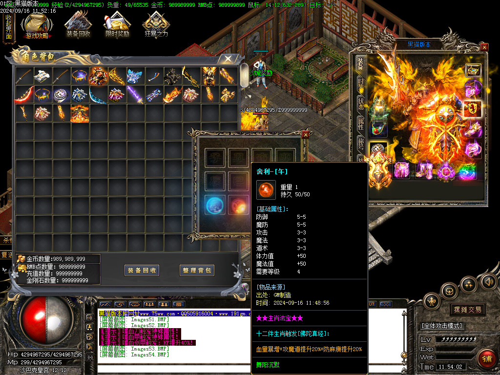 Images55.BMP
