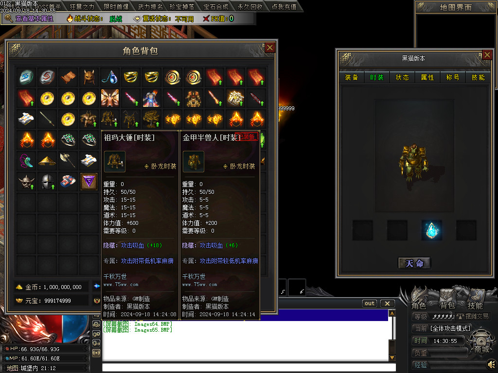 Images66.BMP