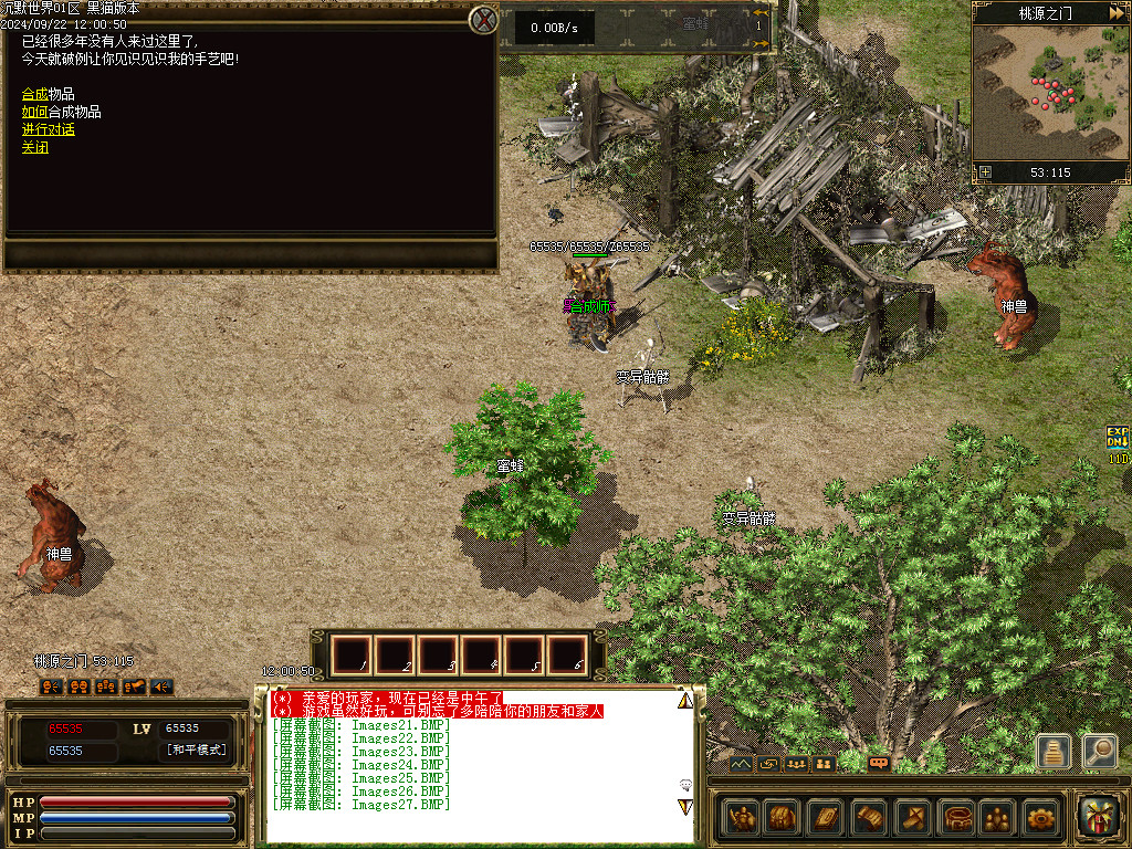 Images28.BMP