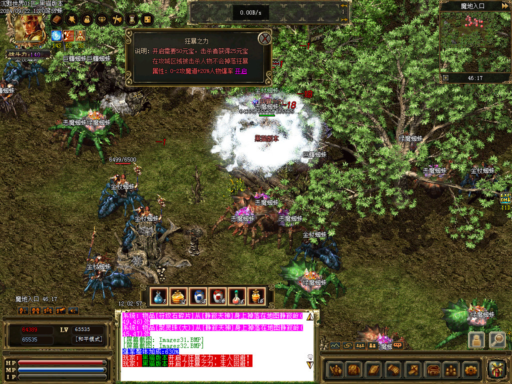 Images33.BMP