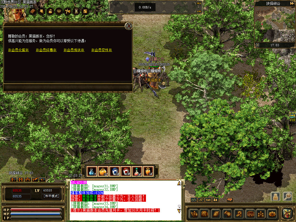 Images35.BMP