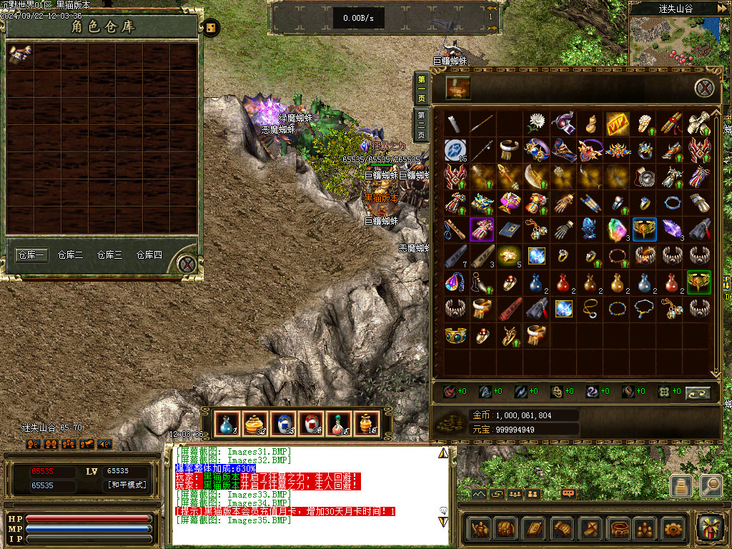 Images36.BMP