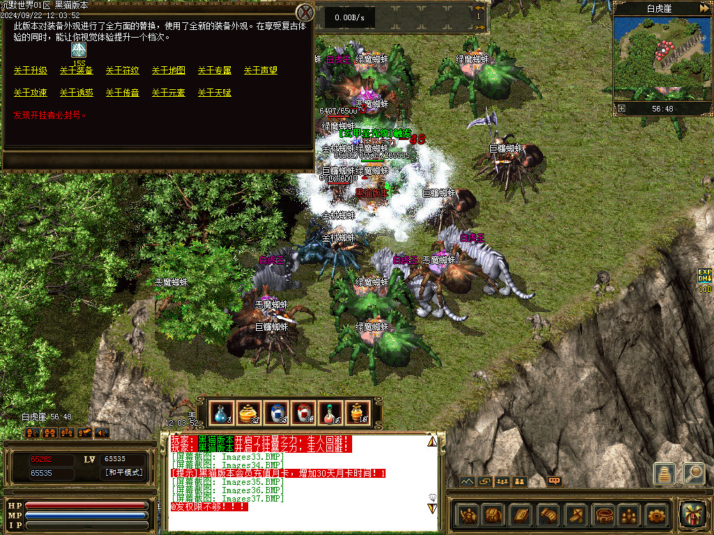 Images38.BMP