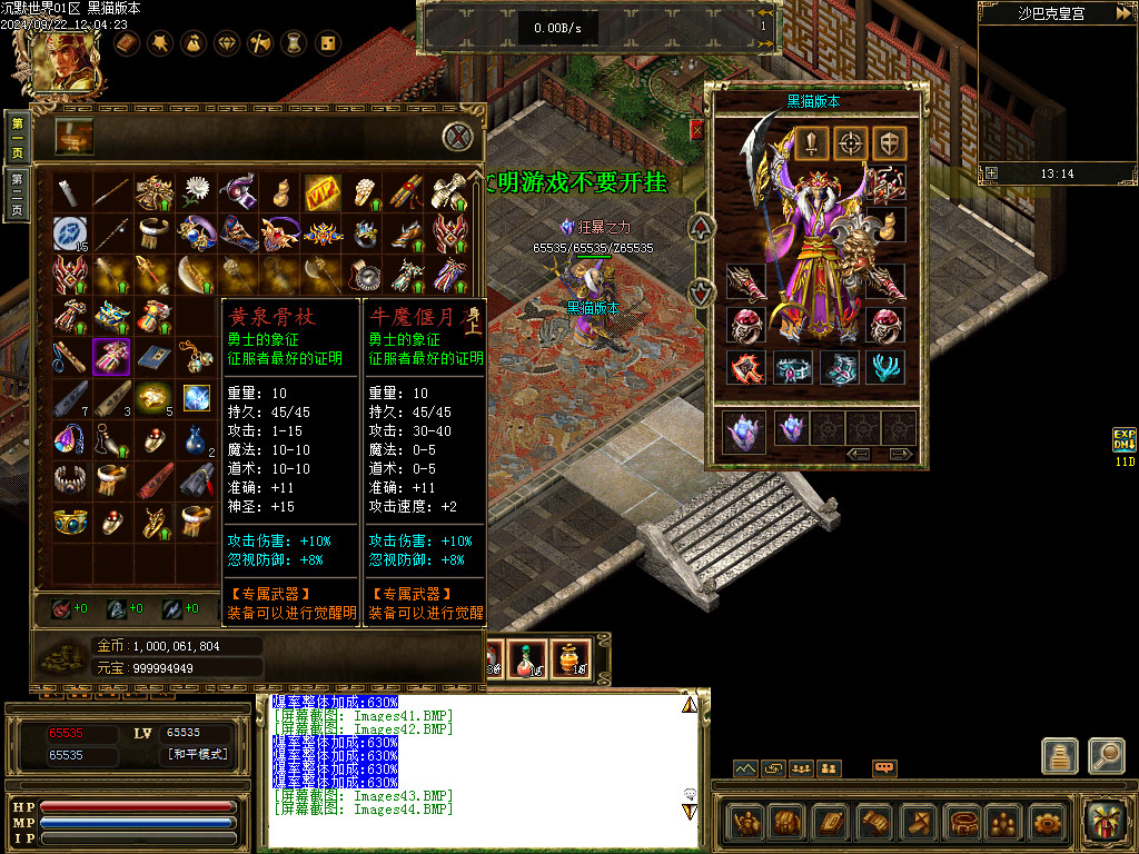 Images45.BMP