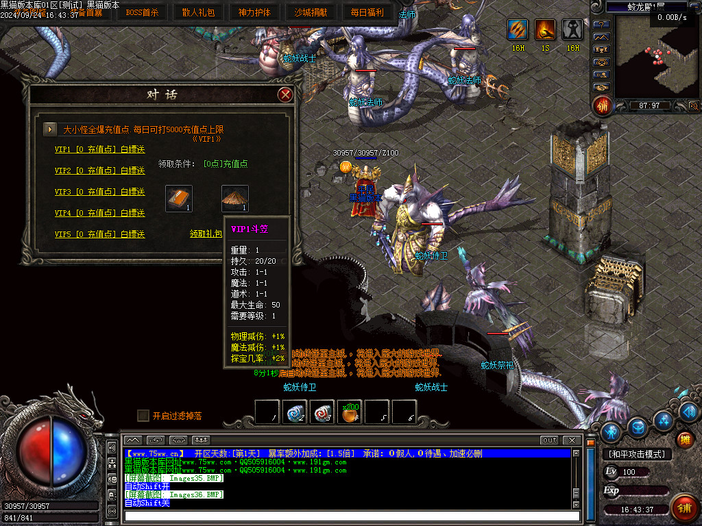 Images37.BMP