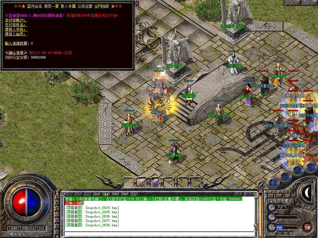 Snapshot_0039.bmp