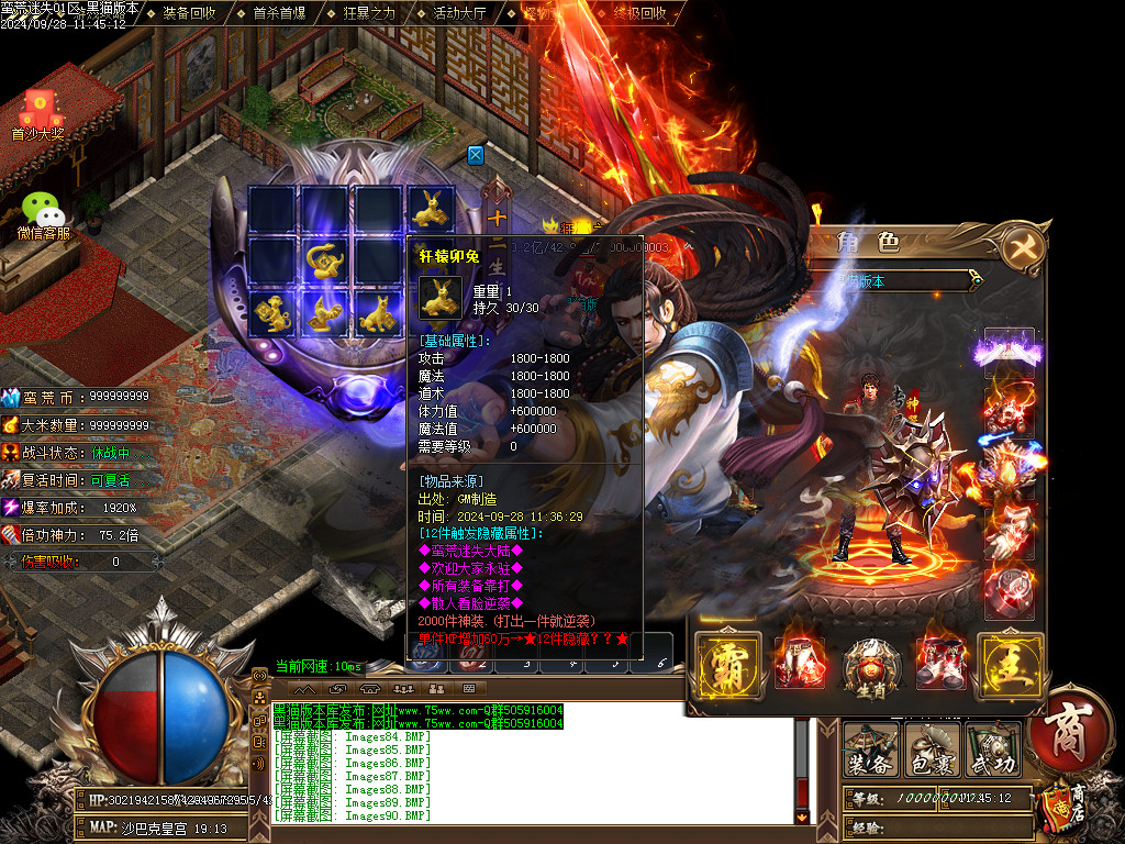 Images91.BMP