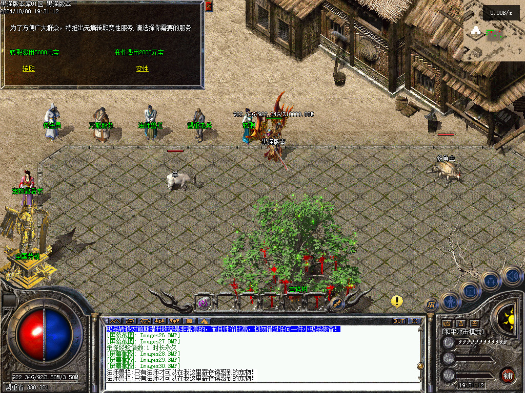 Images31.BMP