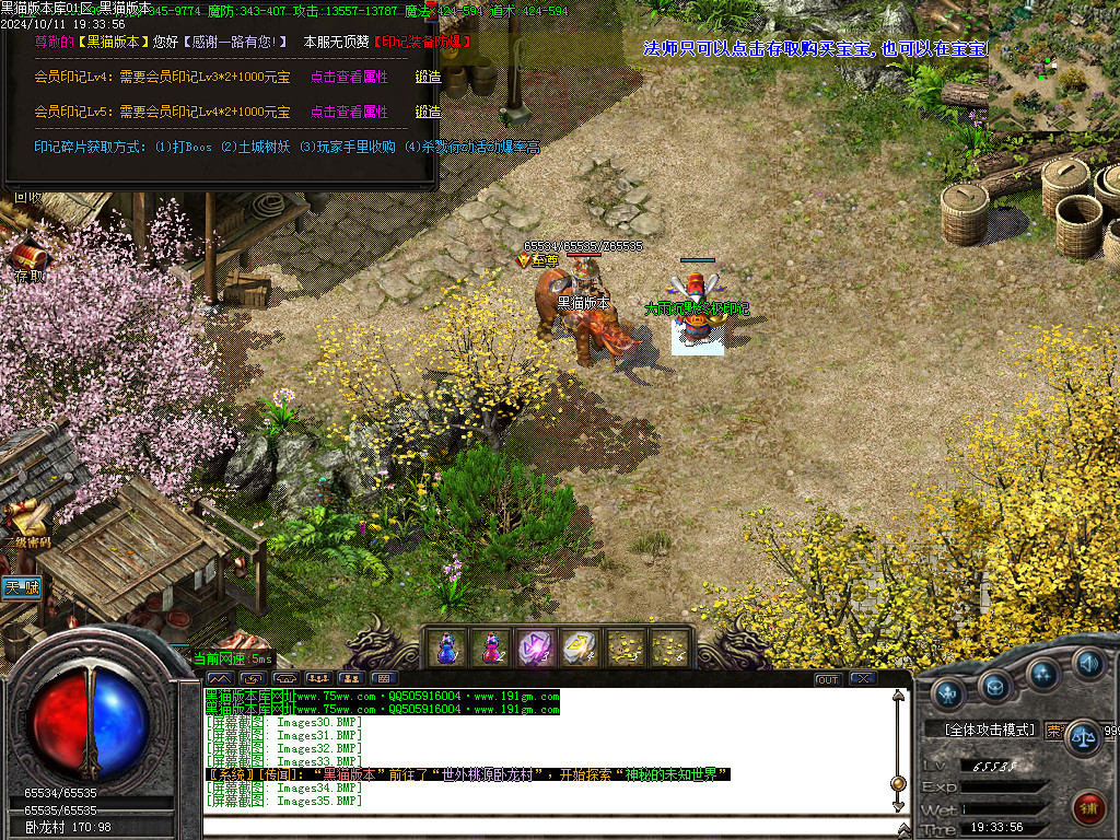 Images36.BMP